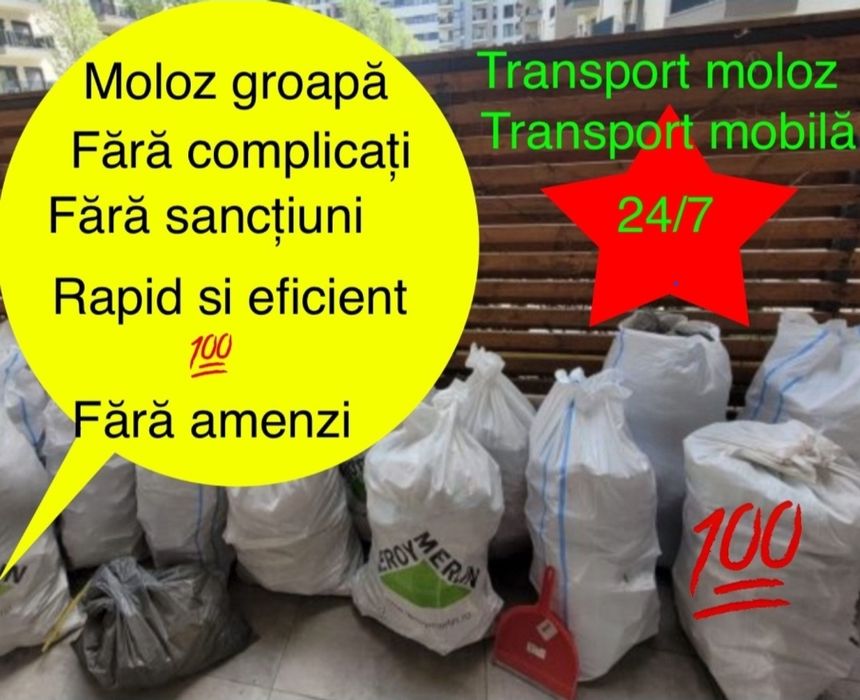 Transport moloz gunoi debarasari/demolari