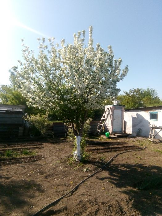 Дом  42- Разъезд