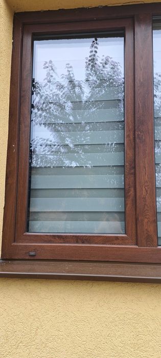 Vand Doua geamuri termopan salamander 82 cu 3 foi de sticla