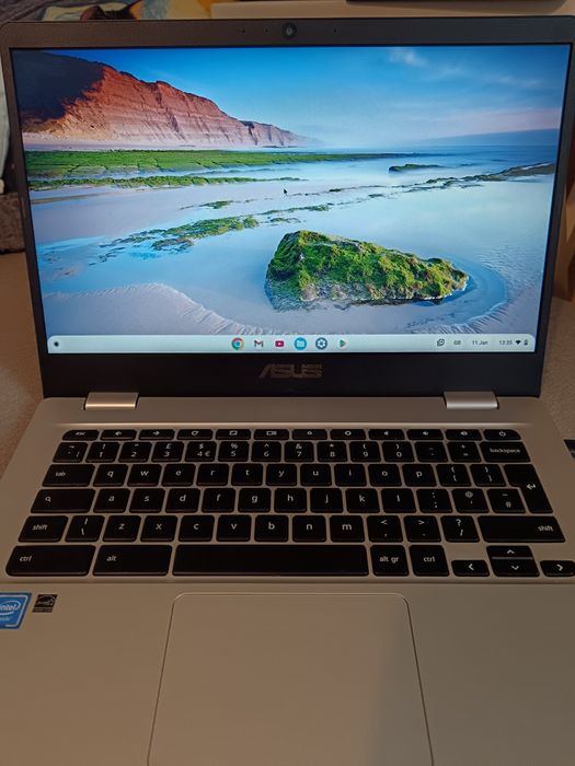 Лаптоп Asus Chromebook C423N