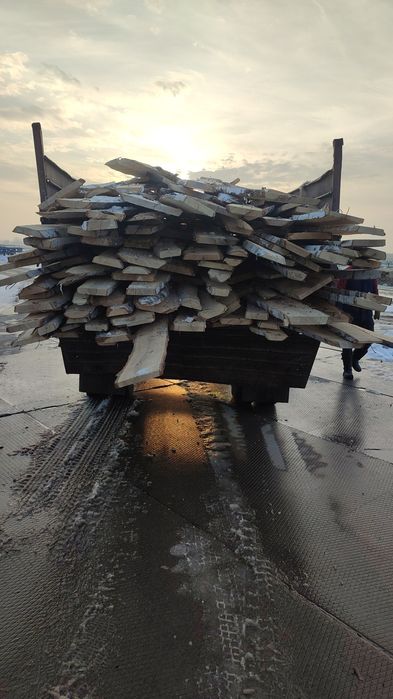 Продам необрезной лес берёза