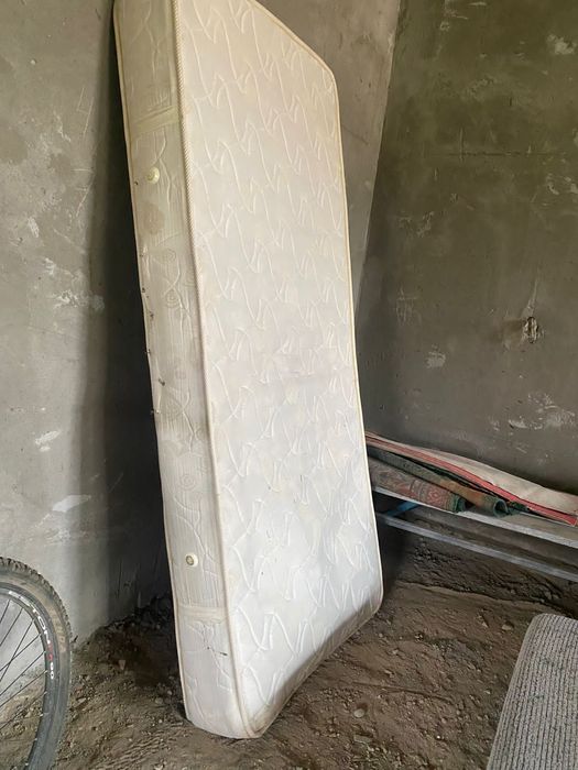 Отдам даром срочно