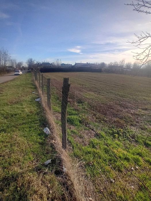 Teren intravilan în comuna Ileana-Călărași