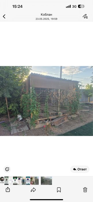 Подсетка сатылады