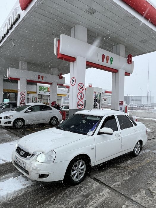 Атика аттика торус торес