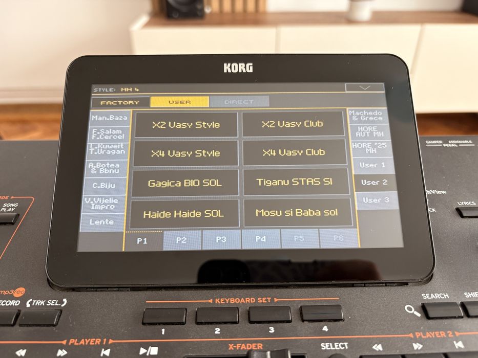 Korg pa4x 76 Oriental