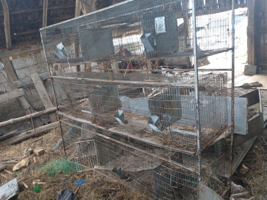 Cușcă iepuri 9 boxe