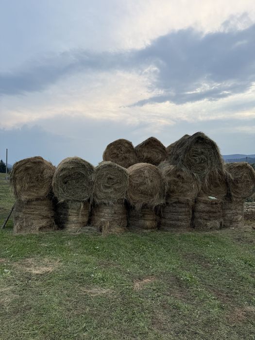 Vindem baloți fân, comuna Saru Dornei