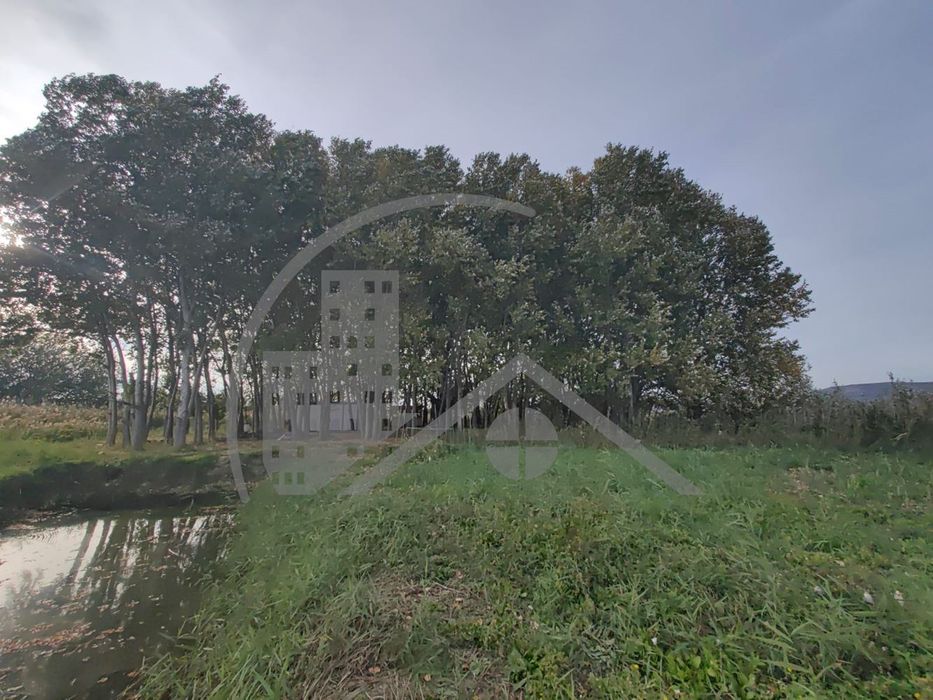 Продава се Парцел в с. Тополи, Област Варна - 5639 кв.м за 6 €/кв.м - Снимка #9