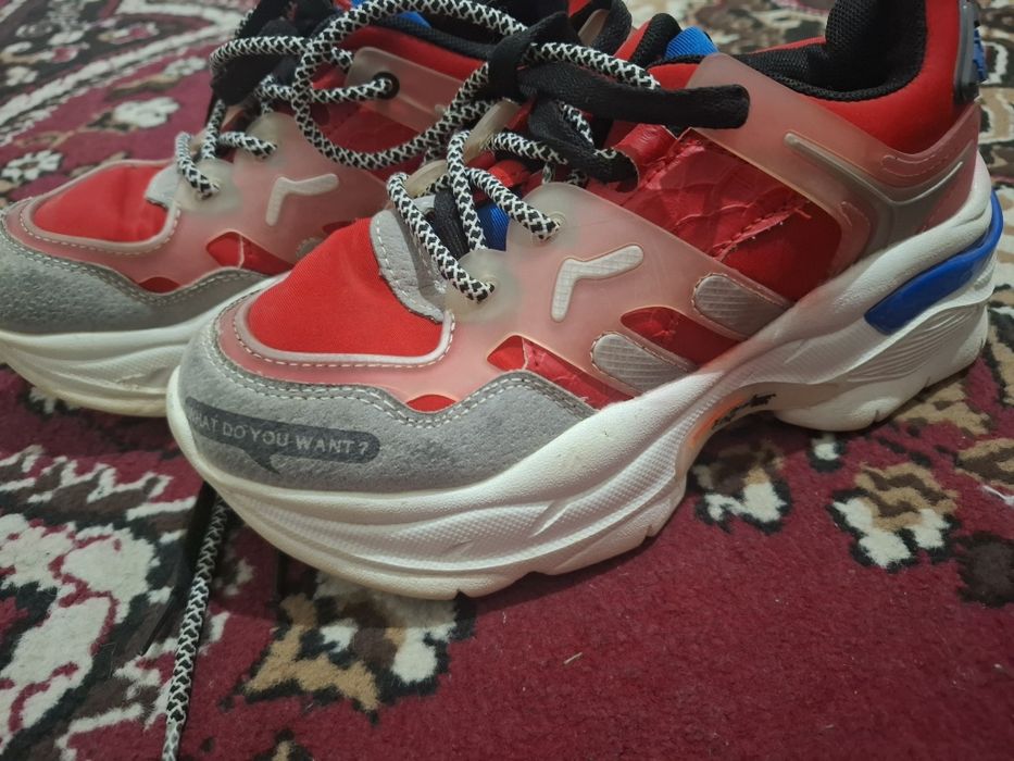 Krasofka hidlanmagan yangiday turibti