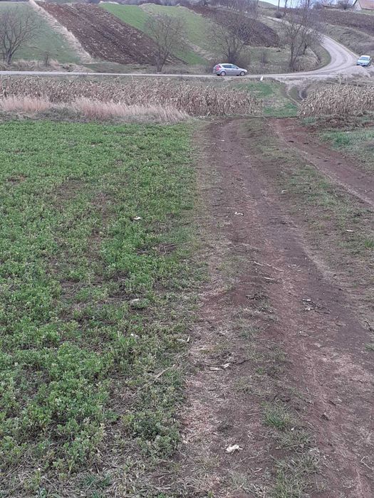 Vand 3000 mp teren extravilan cu drum de acces  Comuna Ciurila