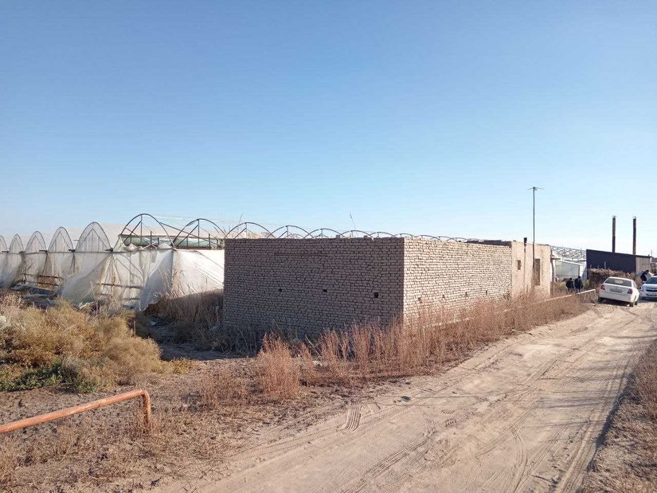 "Issiqxona bino-inshoatlari"