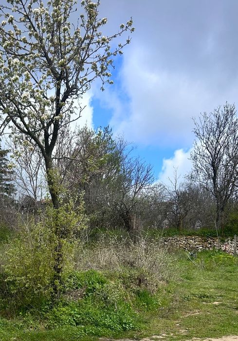 Парцел за застрояване м-ст Боровец юг
