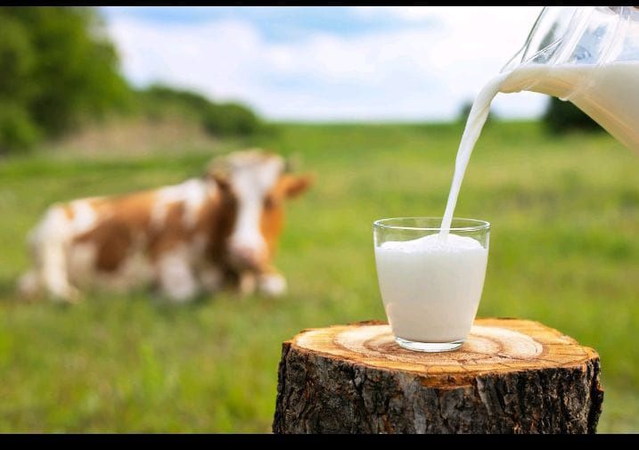 Сүт! Молоко натуральное!