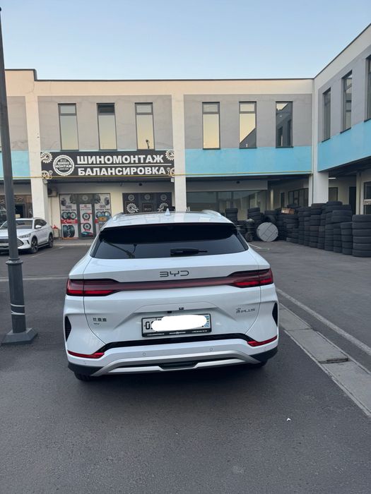Byd champion smart 3000 km probeg