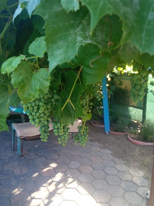 Продам дачу в районе Кривого озера