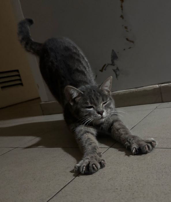 В заботливые ручки Малышка