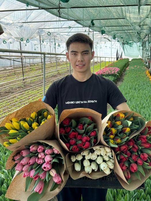 Тюльпаны Свежие оптом и в розницу