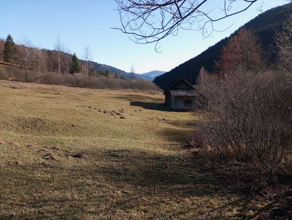 Teren intravilan Grinties, Neamt