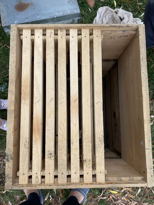 Stup cu cat cu 10 rame, 1/1 si 3/4