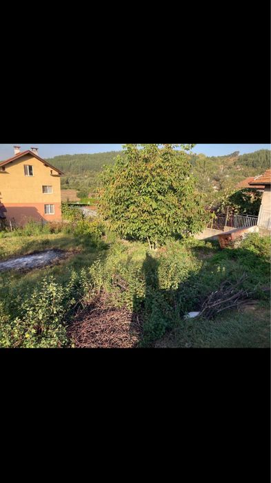 Чистене на дворове