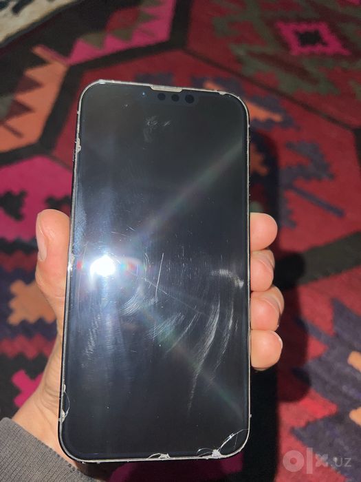 Iphone 13 pro ……