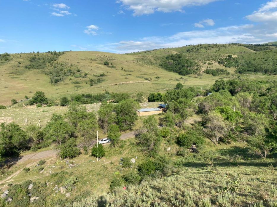 Супер Фазенду продам