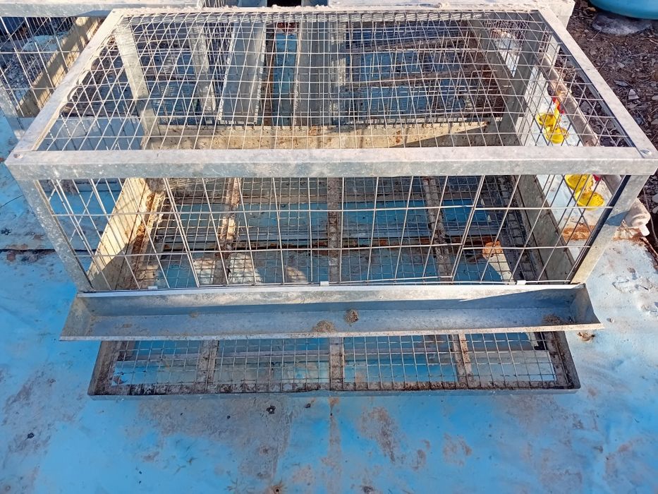 Клетки для кур несушек