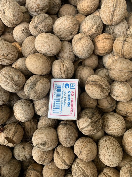 Орехи  2025года , средний и крупный орех, чистый