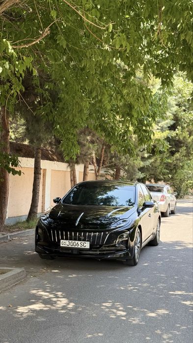 Hongqi eqm 5. 500km 2024