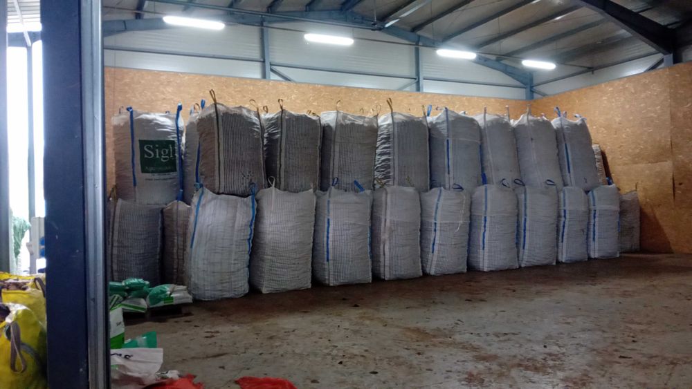 Cartofi consum 60 bani pe kg