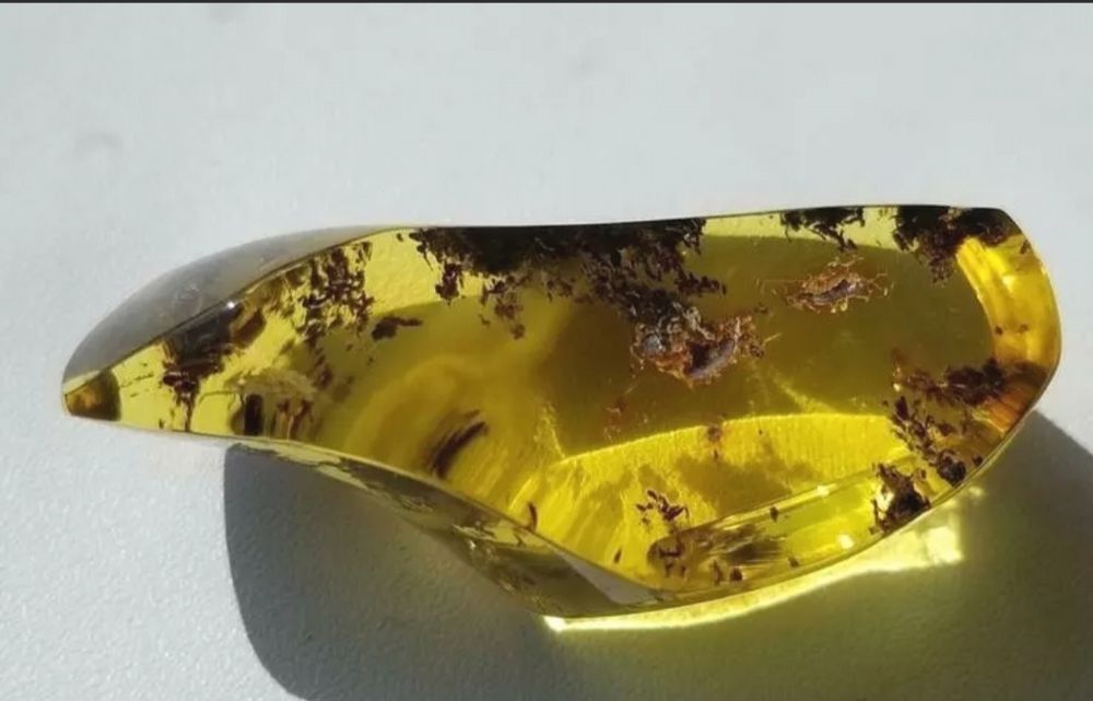 Красиво парче Балтийски кехлибар с множество скупчени насекоми