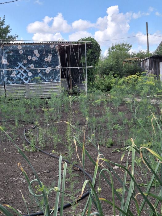 Продам дачу в близи города