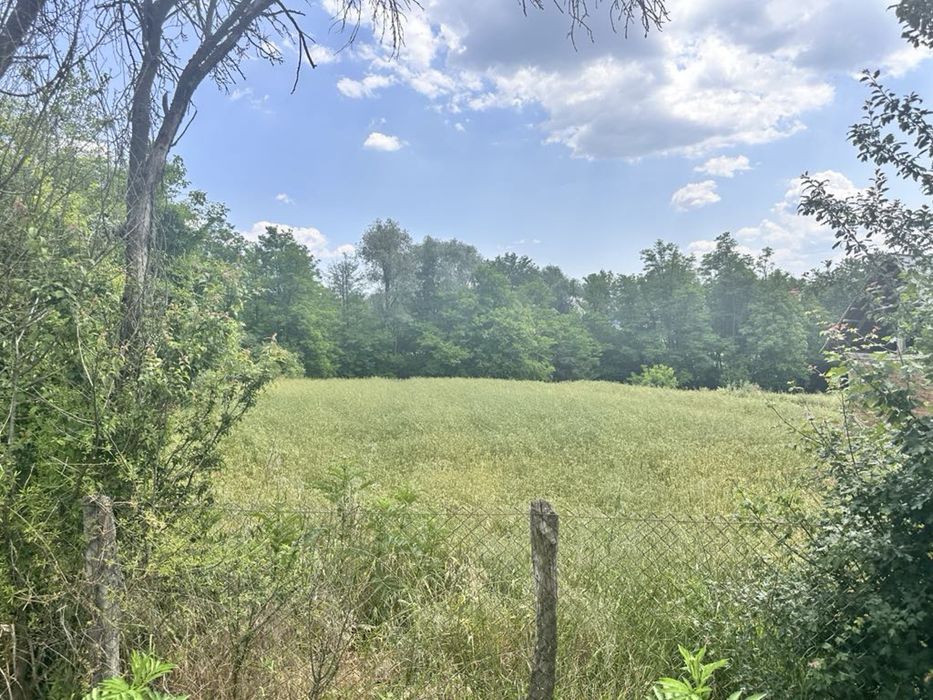 Teren de vânzare Oc. Mari Bunesti