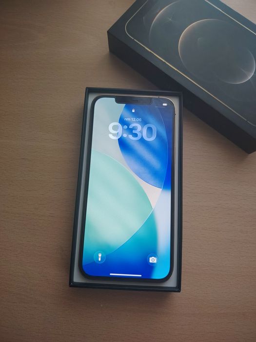 iPhone 12 Pro Max