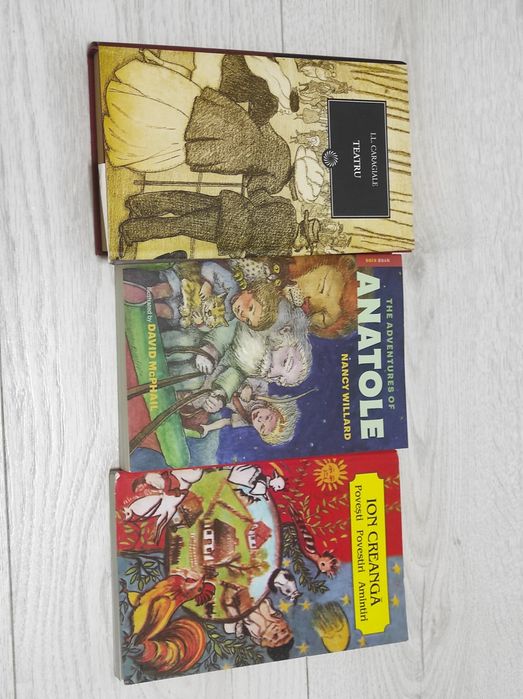 Minunea Inimă de cerneală Jurnalul unui puști Istoria lu Răzvan Isidor