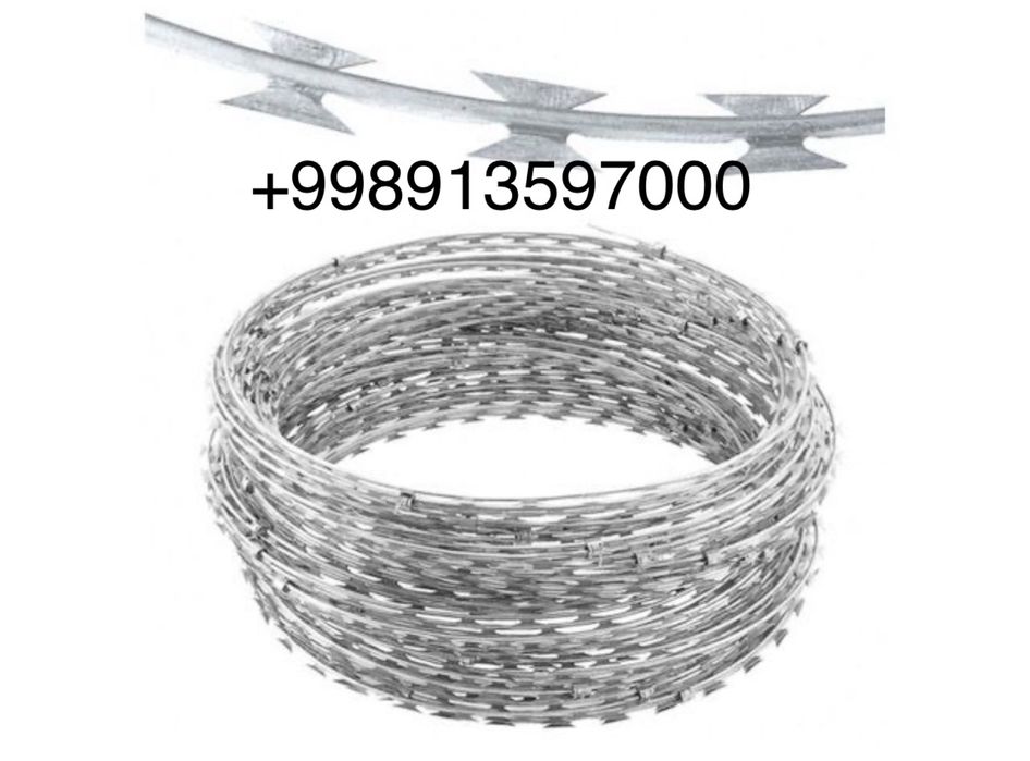 Егоза. Егоза. Egoza.