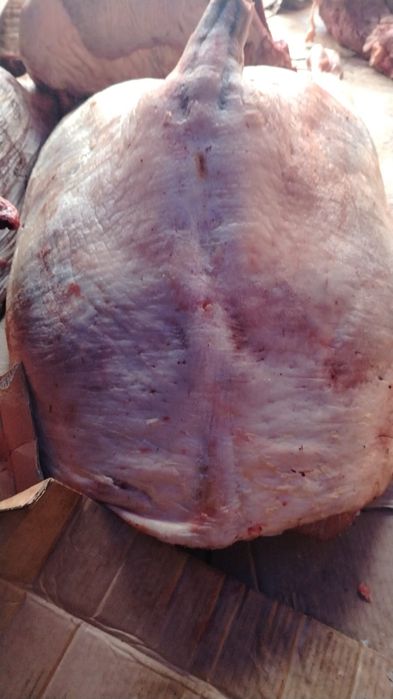 Байтал Мясо Конина