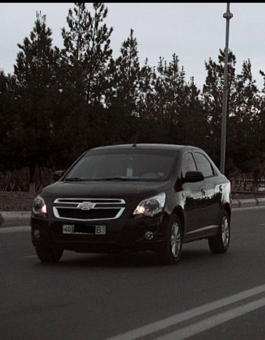 Cobalt Black (qora)  2024  Style