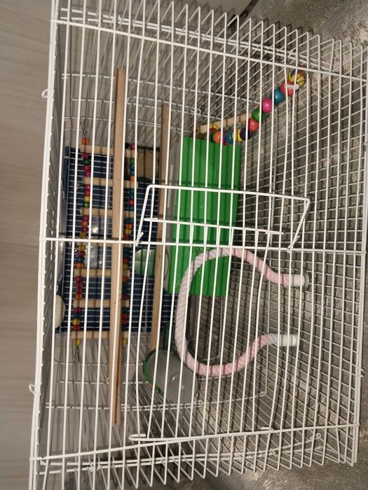Папугайға арналған клетка