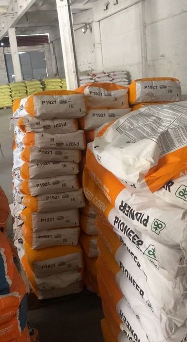 urug sotiladi amazon