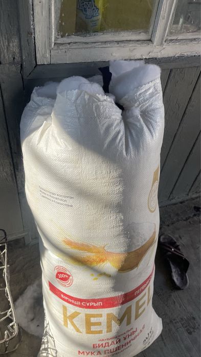 Синтефон (макта)