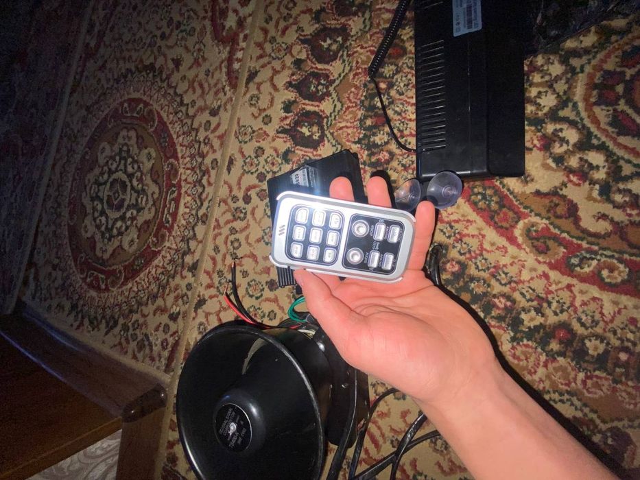 Serena migalka sotilad