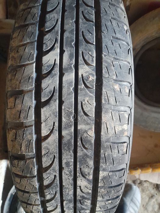 14 лик шапалок диска балони билан