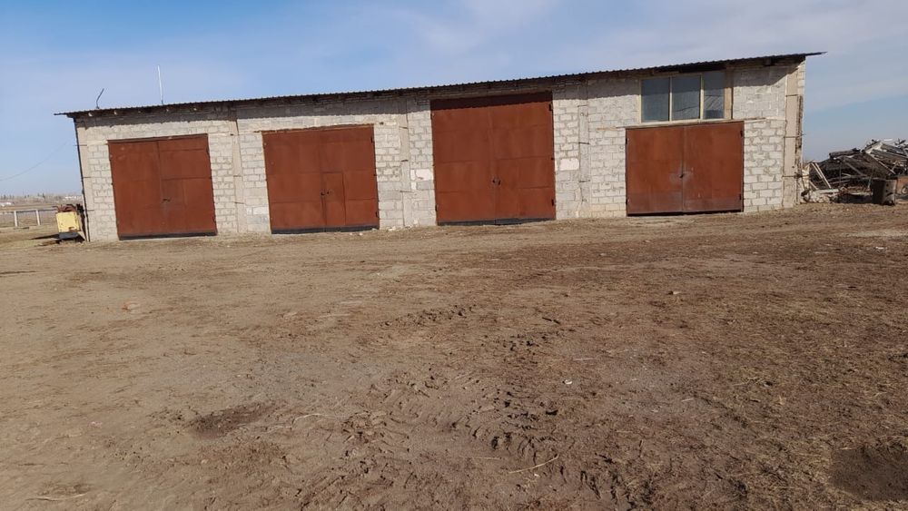 Продам хозяйство