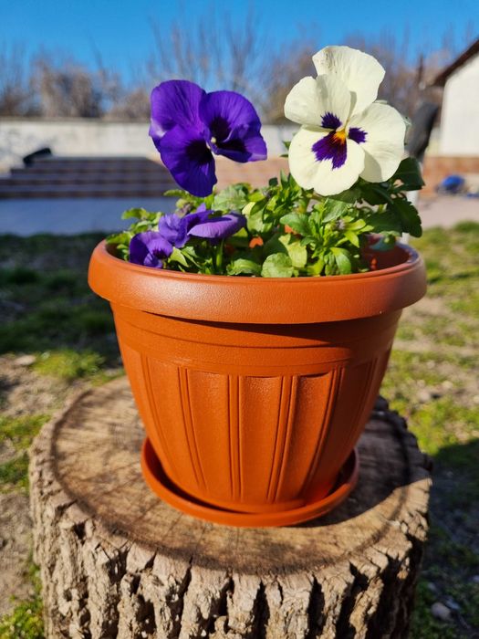 Различни размери пластмасови саксии за цветя с подложка! Кръгла саксия