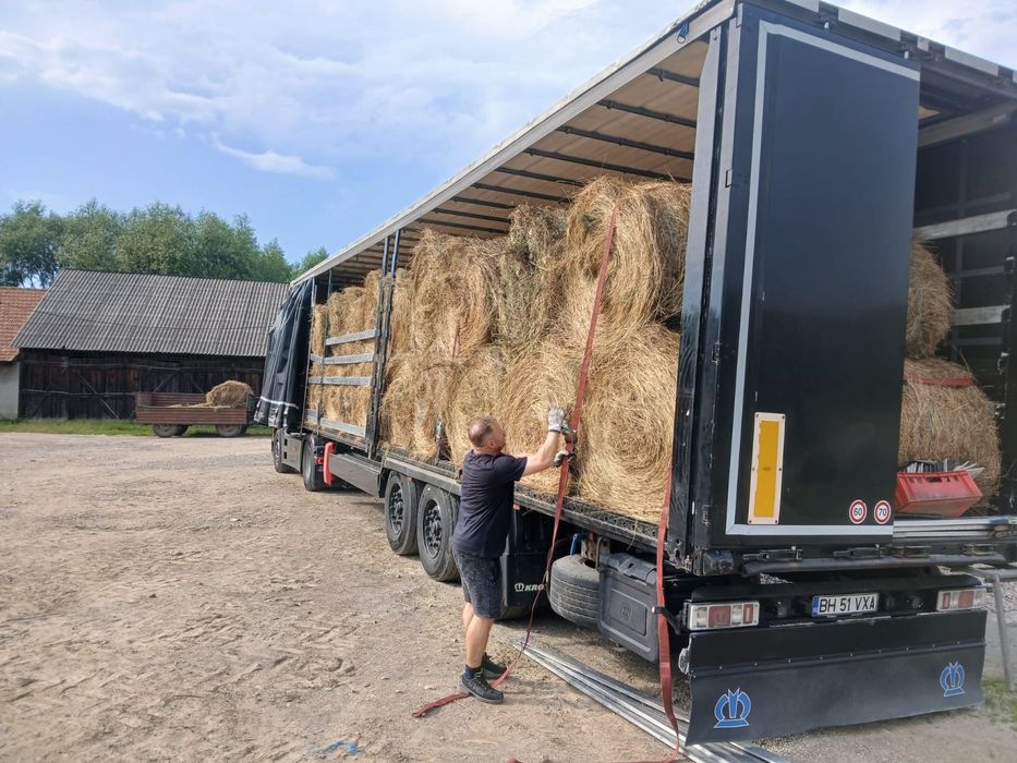 BLoti fan sau de lucerna Livram doar la TIR. Minim 40 rotunzi sau 500 dreptunghiulari Transport inclus RO UE. Nu dam la bucata.