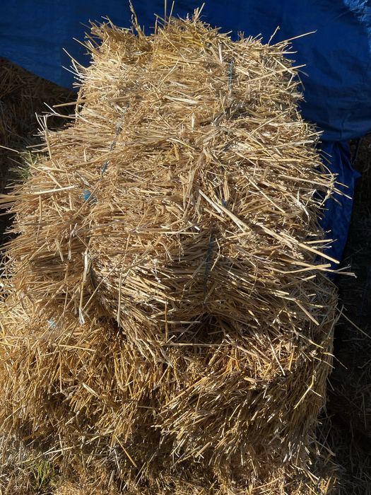 Baloti de baie mai multe detali la tel