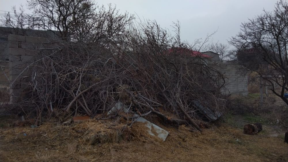 Утин сотилади, шохлар ва майдалангани