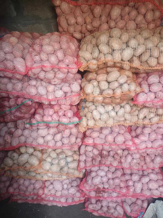 Cartofi de consum alb și roșu